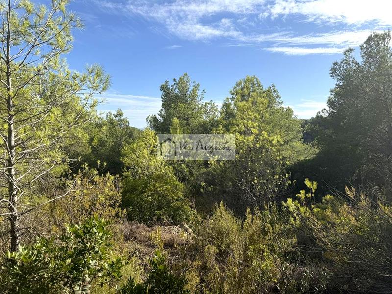 Foto b3f7022a-94c8-4023-8734-e3f3a5e6c425. Landgut in Perelló (El)