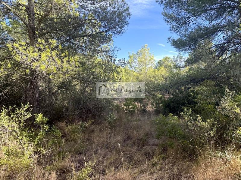 Foto c31b7b35-17ec-4369-90c3-2a2a229be160. Landgut in Perelló (El)