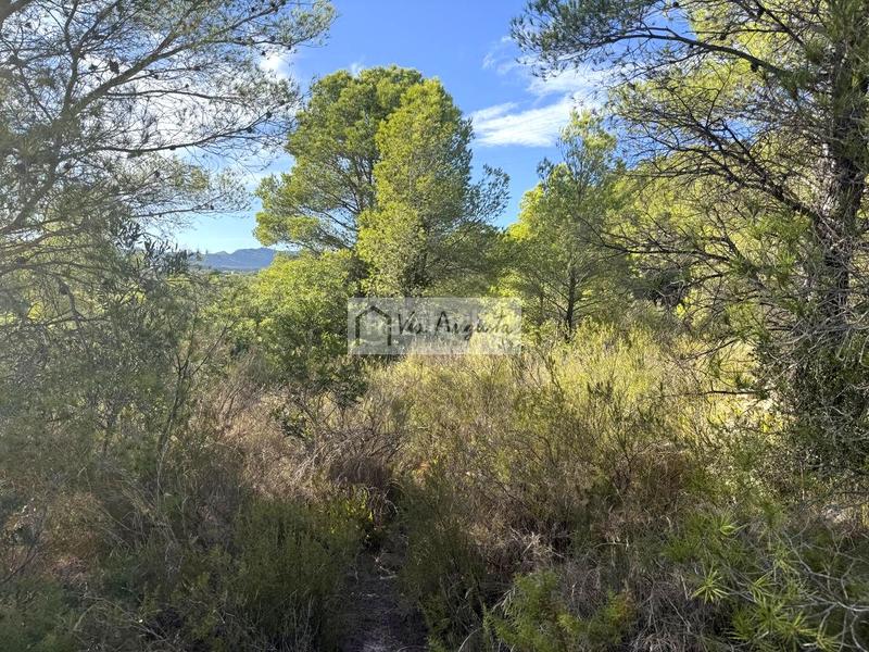 Foto dbc344e8-718e-46b8-901c-a08ff177788d. Landgut in Perelló (El)