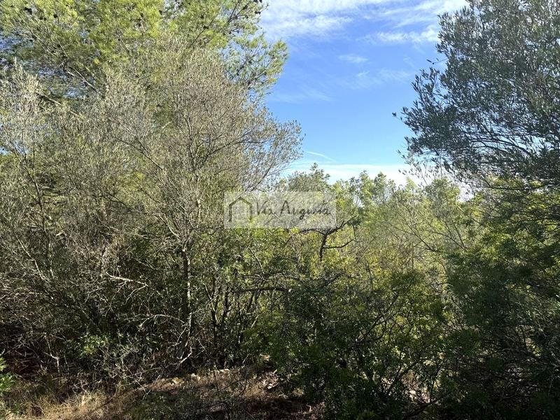 Foto e6a244dc-d140-4324-88c4-2554052b76bd. Landgut in Perelló (El)