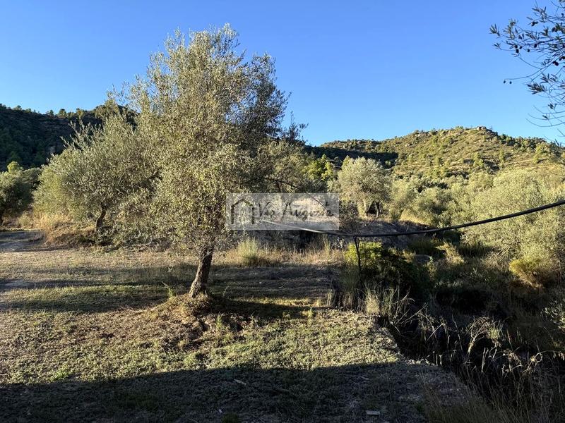 Foto 06029605-f32d-472e-93e6-e84f64c43c43. Finca rústica a Vinebre