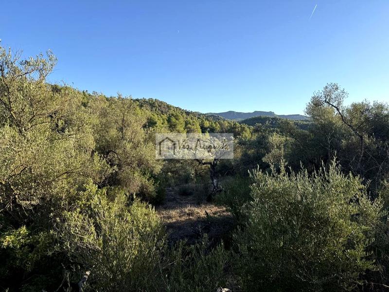 Foto 282d200c-f533-4504-be2b-c432750f8672. Finca rústica a Vinebre