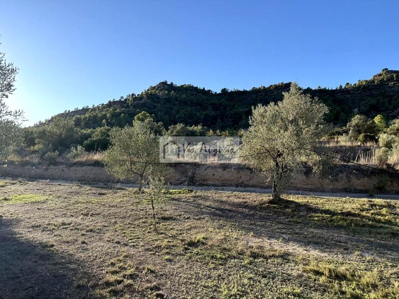 Foto 718e9e3a-f1b3-44a7-84b1-c92cfbfd32cc. Finca rústica a Vinebre