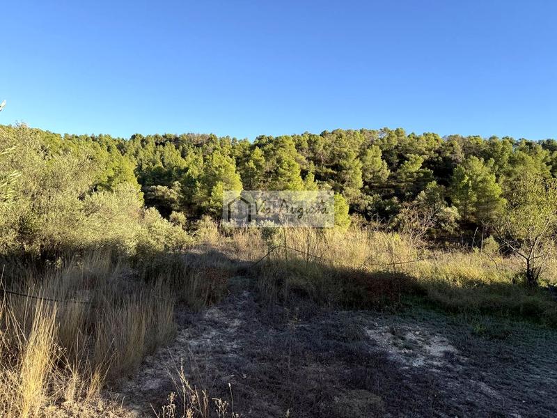 Foto 90a547f7-6be5-4f98-a967-8916db38c796. Finca rústica a Vinebre