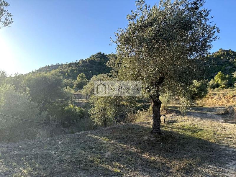 Foto d9919833-6d07-4d59-9a3c-a51055e8891b. Finca rústica a Vinebre