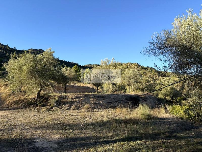 Foto ebf51b4c-79a4-4f07-a8fd-455681f6b5bd. Finca rústica a Vinebre