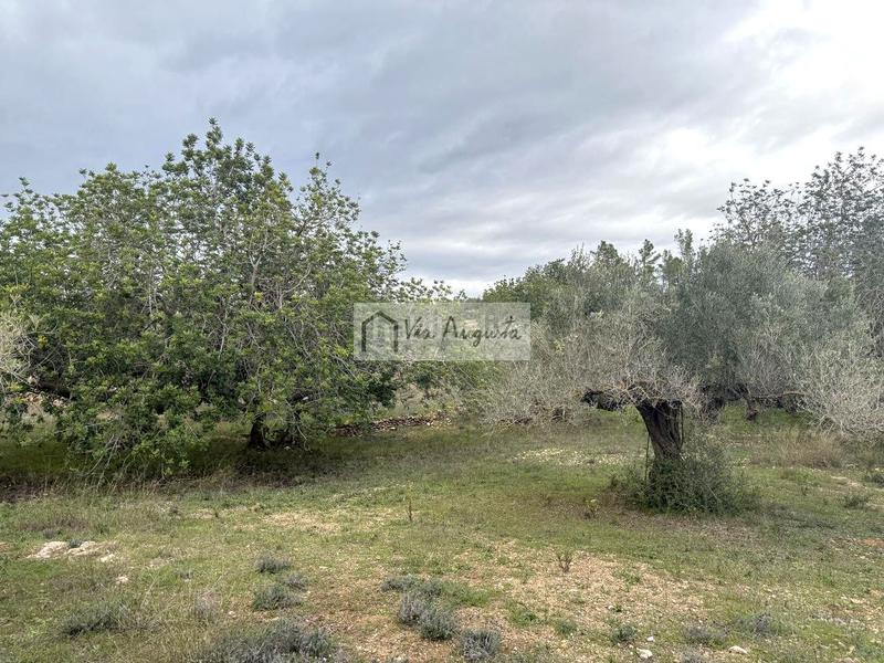 Foto 28533402-dc98-4dce-a65b-60b8eb4e4588. Landgut in Les Tres Cales Ametlla de Mar (L´)