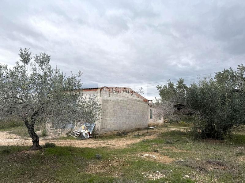 Foto 3aae9d7d-8aff-4c33-9304-4420816aa57c. Landgut in Les Tres Cales Ametlla de Mar (L´)