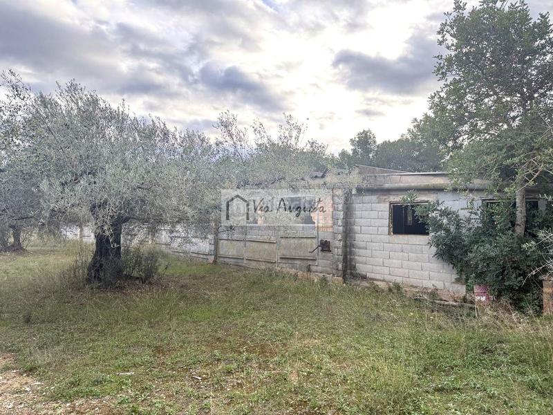 Foto 586258bd-6f40-490a-b097-1212286bc0f8. Landgut in Les Tres Cales Ametlla de Mar (L´)