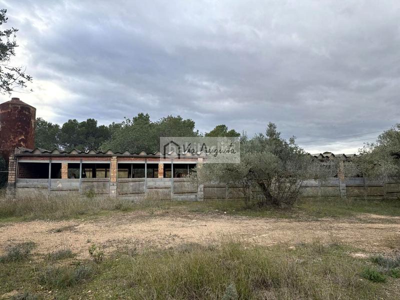 Foto 606b9273-0183-4bad-8525-99befaf92c90. Landgut in Les Tres Cales Ametlla de Mar (L´)