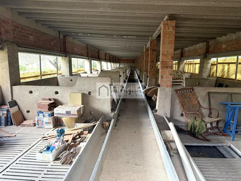 Foto bca02481-e6de-49d5-a138-4ad968589afb. Landgut in Les Tres Cales Ametlla de Mar (L´)