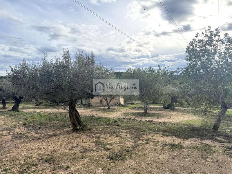 Foto 33847e5b-ac2d-411e-a032-b237f8185a1a. Propriété dans Les Tres Cales Ametlla de Mar (L´)