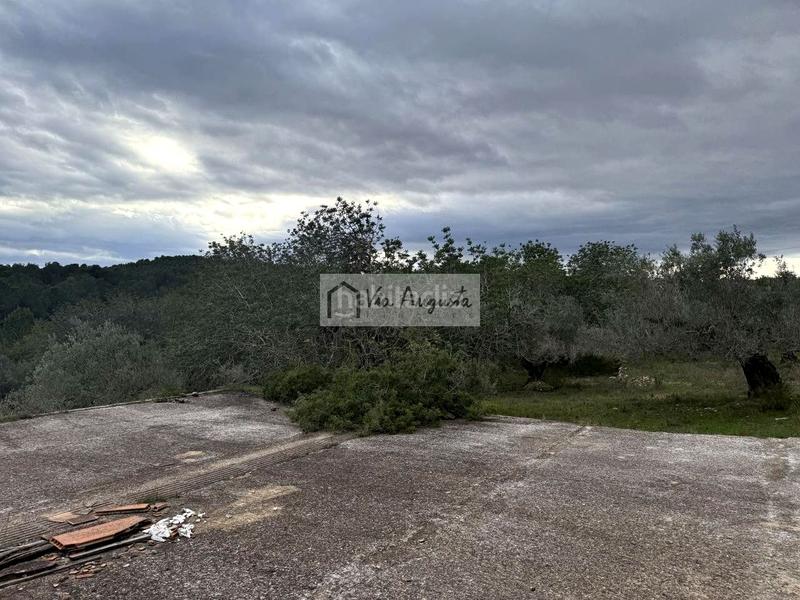 Foto 46493d5e-a6be-4f32-b04a-6bcfa28616a7. Propriété dans Les Tres Cales Ametlla de Mar (L´)