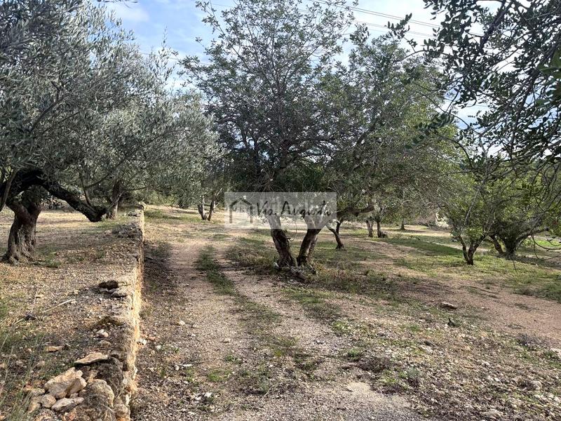 Foto 4d2a1586-7434-49dd-955d-24e576448f40. Propriété dans Les Tres Cales Ametlla de Mar (L´)