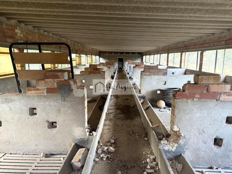 Foto 55218e4d-48eb-40e2-aee5-1452fdff0ef5. Propriété dans Les Tres Cales Ametlla de Mar (L´)