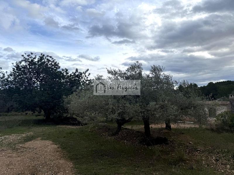 Foto 7c903070-3277-4fa5-a1ae-a47af21cbab7. Propriété dans Les Tres Cales Ametlla de Mar (L´)