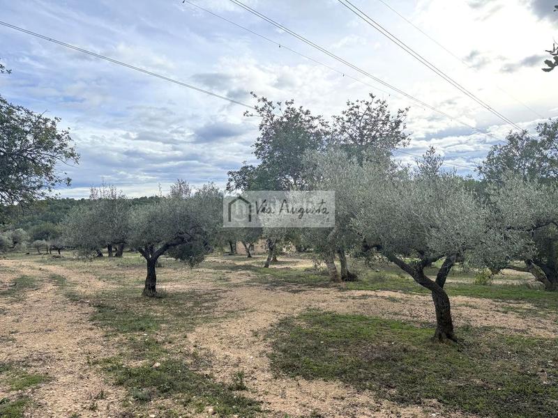 Foto 807ef624-a7ea-4ab4-82c9-c0f3085c7daa. Propriété dans Les Tres Cales Ametlla de Mar (L´)