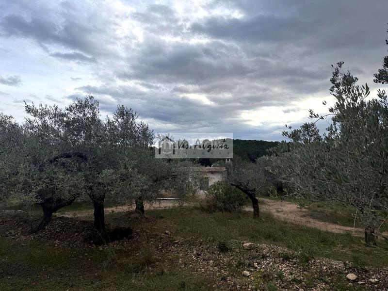 Foto a531bda1-3002-49ff-8d09-aa4253e83623. Propriété dans Les Tres Cales Ametlla de Mar (L´)