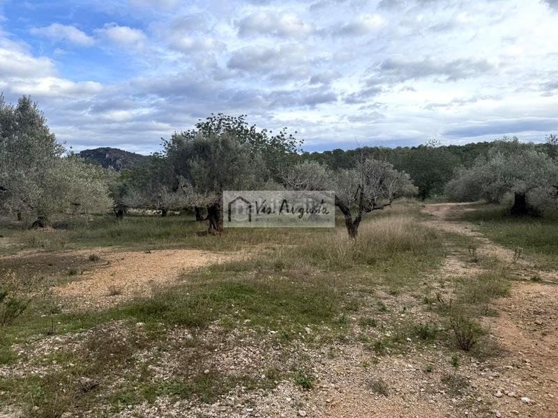 Foto d02672ff-ac89-4fb8-b5d5-1049a36edbbf. Propriété dans Les Tres Cales Ametlla de Mar (L´)