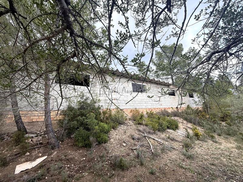 Foto 0c949115-b0de-443a-b3f5-716f2a953550. Rural plot in Les Tres Cales Ametlla de Mar (L´)