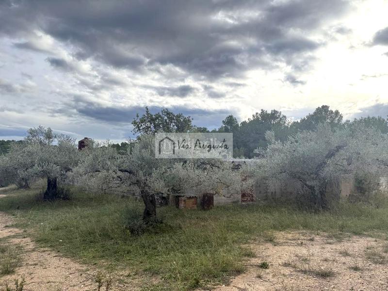 Foto 22ec9803-7087-4ea2-a355-a10482948db5. Rural plot in Les Tres Cales Ametlla de Mar (L´)