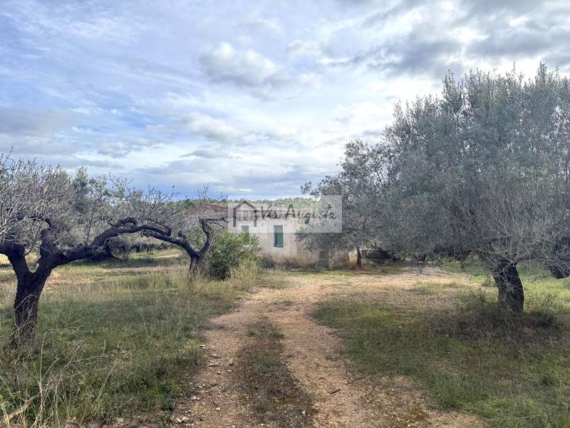 Foto 3e53aab4-0680-47c0-86e8-e3c14cf97545. Rural plot in Les Tres Cales Ametlla de Mar (L´)