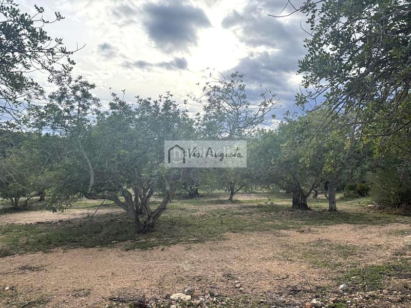 Foto 48be1be1-fd61-44cf-a16b-a19698214ded. Rural plot in Les Tres Cales Ametlla de Mar (L´)