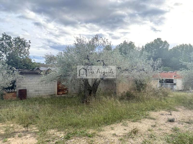 Foto 5cd713c4-208c-4c0b-9a2c-4cfaf8729f8e. Rural plot in Les Tres Cales Ametlla de Mar (L´)