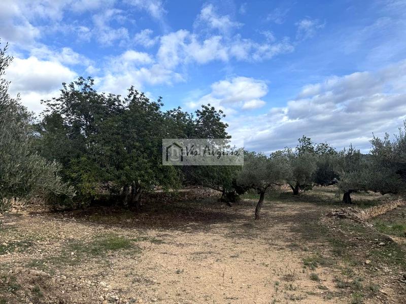 Foto 9269210f-12dd-4581-84a1-63e9a5e6ba1c. Rural plot in Les Tres Cales Ametlla de Mar (L´)