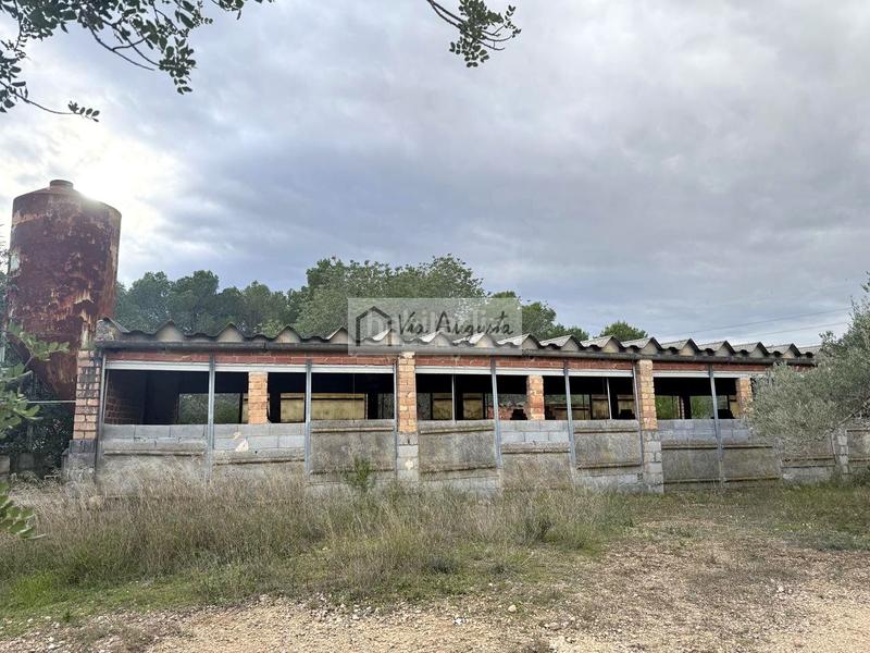 Foto ed8191d0-63f8-47eb-b06a-e203be964395. Rural plot in Les Tres Cales Ametlla de Mar (L´)