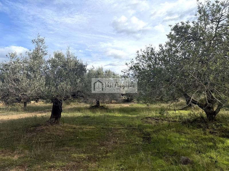 Foto f1af4049-1917-4f8b-ab13-65791c60f929. Rural plot in Les Tres Cales Ametlla de Mar (L´)