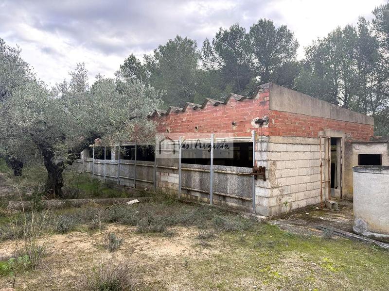 Foto 0c81262e-ff81-4fab-b81d-2dae068f0100. Finca rústica en Les Tres Cales Ametlla de Mar (L´)