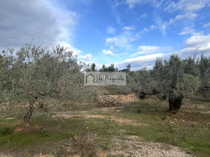 Foto 4d6b4cc1-9a9a-40c3-ade9-bb4ff9d890d0. Finca rústica en Les Tres Cales Ametlla de Mar (L´)