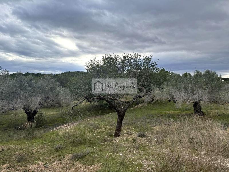 Foto e28d94f4-07b7-41b9-9e42-d9197838513a. Finca rústica en Les Tres Cales Ametlla de Mar (L´)
