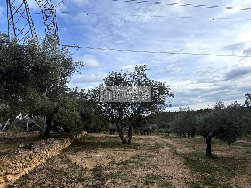 Foto eb68f54e-8000-4994-bfc3-6c44b78e3511. Finca rústica en Les Tres Cales Ametlla de Mar (L´)