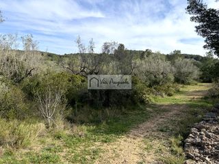 Propriété  Oliveres