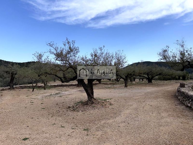 Foto 0ac86d9c-03d5-41b4-90d1-5e6c6420ca24. Masia a Bítem Tortosa