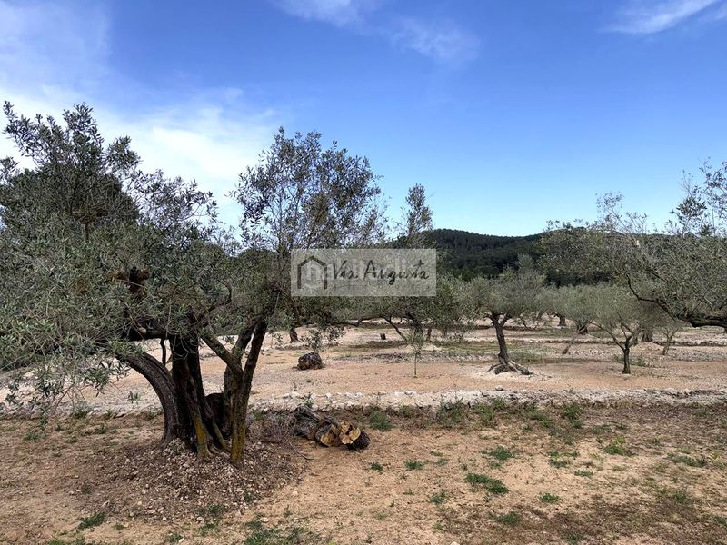 Foto 123210bd-4fa0-4d1a-9bb5-e1bf8f0e7b03. Masia a Bítem Tortosa