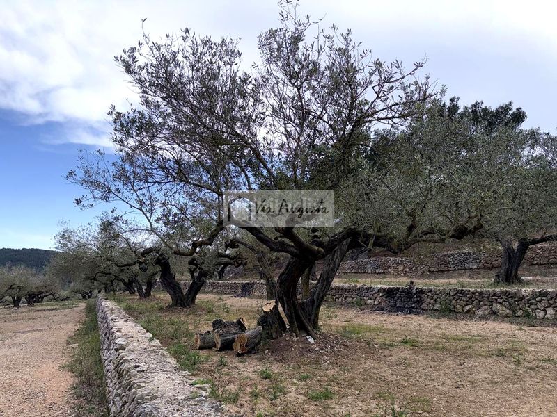 Foto 1fce8a29-1bd8-44e9-8a11-415c2d4ab263. Masia a Bítem Tortosa