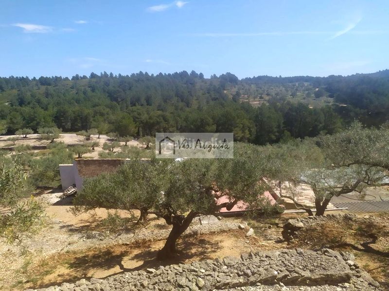 Foto 2030ed1e-effd-4ae8-8492-9c3b240c63c3. Masia a Bítem Tortosa