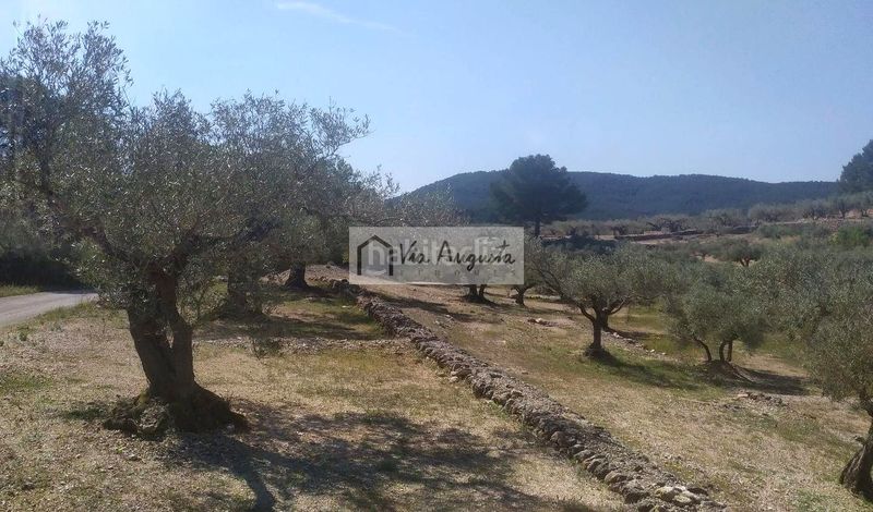 Foto 33236d57-f34b-430a-9969-bc64281d33af. Masia a Bítem Tortosa