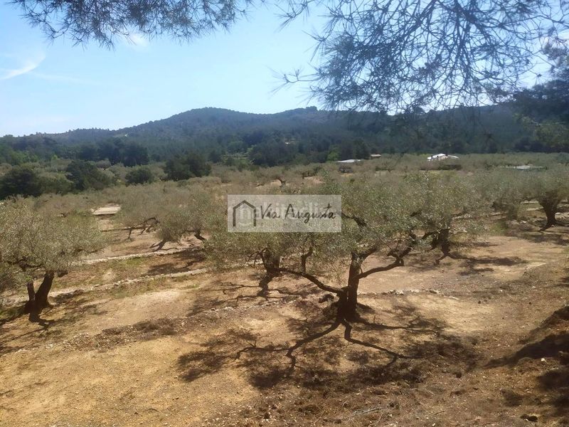 Foto 3c6751a6-8504-46cf-a2b0-9723835c8ac7. Masia a Bítem Tortosa