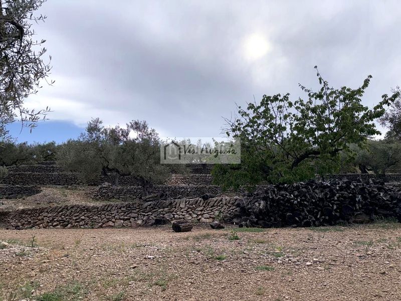 Foto 43103d79-07cc-4fa4-88f8-e3b4b3d4880d. Masia a Bítem Tortosa