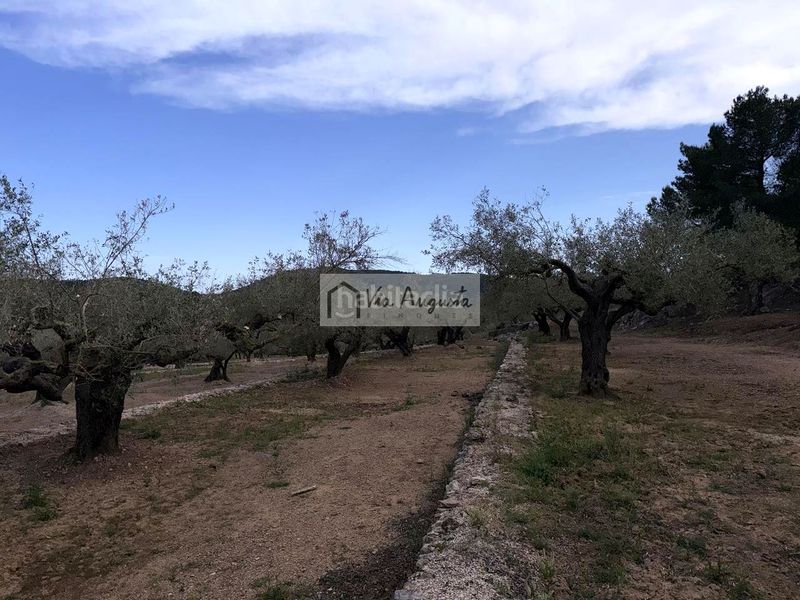Foto 540c6c72-e77f-49dd-95a4-38be3e3e718d. Masia a Bítem Tortosa