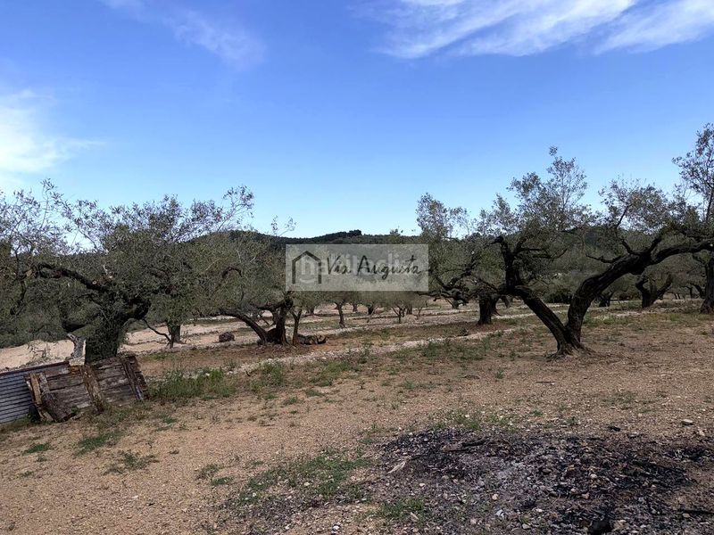 Foto 55a3915f-bff1-4157-a701-27299ac70f4f. Masia a Bítem Tortosa