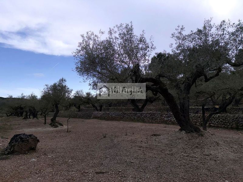 Foto 7db3ed3d-608c-490a-ab58-86088f26709f. Masia a Bítem Tortosa