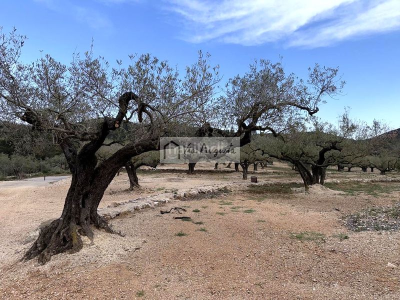 Foto 8a473f49-a1b8-46a1-8bfe-dc19bdab6f15. Masia a Bítem Tortosa