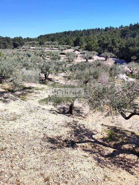 Foto 8f545260-adc2-4f21-840e-84b895d95ff6. Masia a Bítem Tortosa