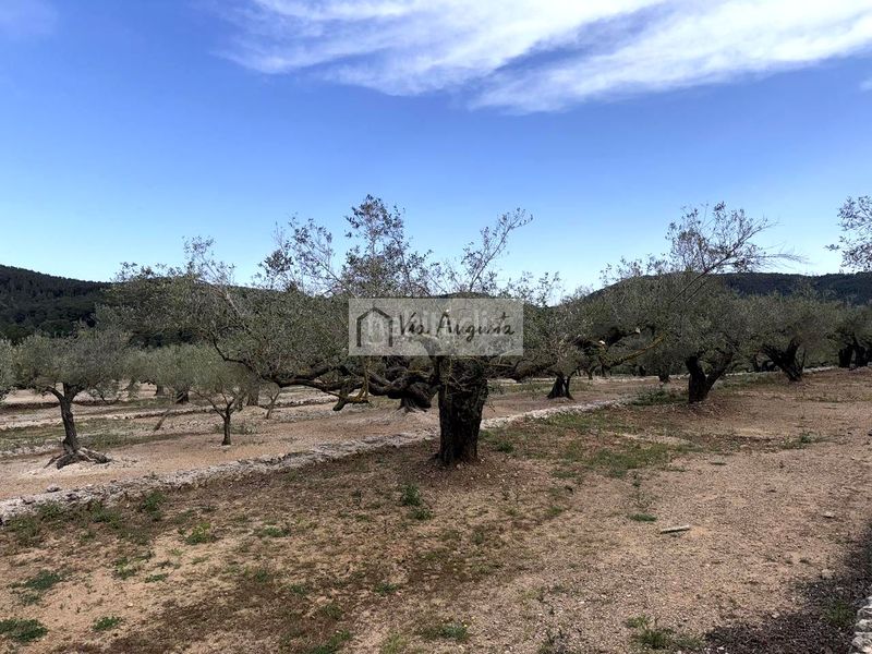 Foto 9699d22e-eaa1-47e7-bc94-5b8064331409. Masia a Bítem Tortosa
