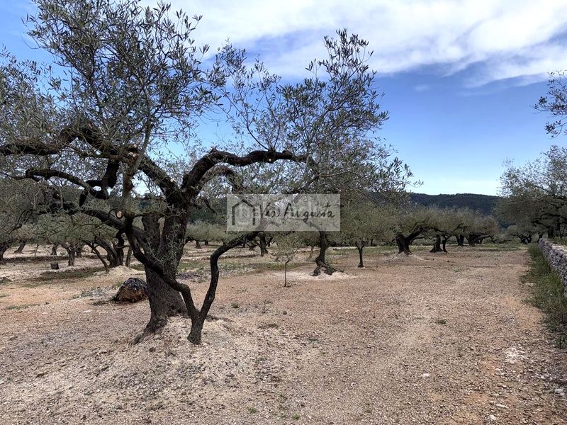 Foto a9bc7eb8-ae2b-430c-bb93-0008373ad82f. Masia a Bítem Tortosa